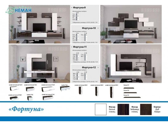 Гостиная Фортуна 4 (белый, зебравуд глянец)
