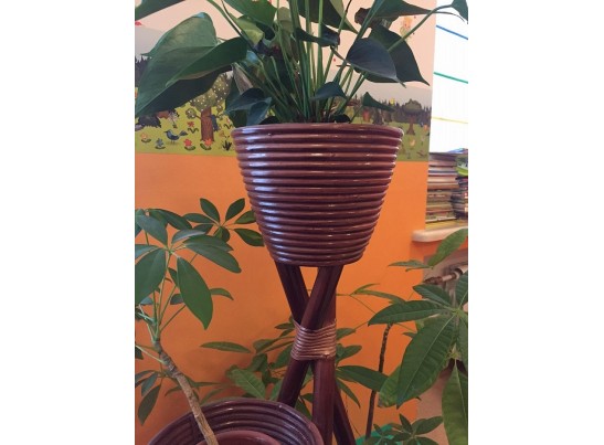 Цветочница 15/29А