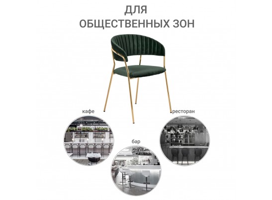 Комплект из 2-х стульев Turin зеленый с золотыми ножками в Ростове-на-Дону