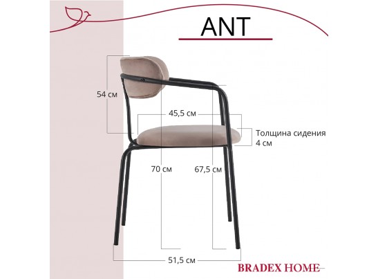 Комплект из 2-х стульев Ant латте в Ростове-на-Дону