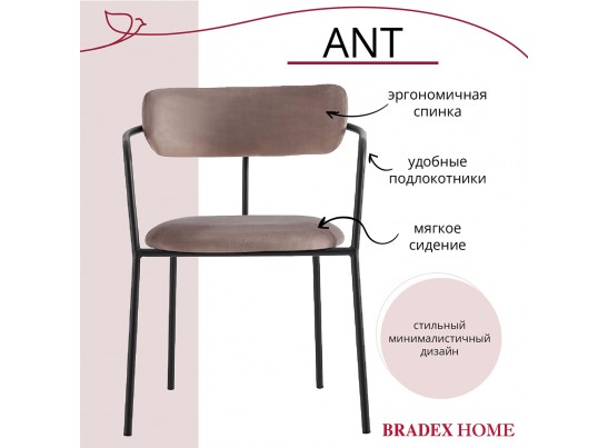 Комплект из 2-х стульев Ant латте в Ростове-на-Дону