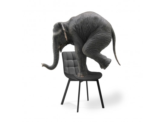 Комплект стульев Стронг 4 шт темно-серый / черный в Ростове-на-Дону