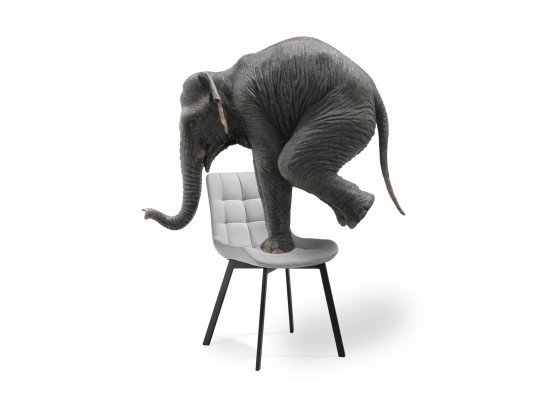 Комплект стульев Стронг 4 шт светло-серый / черный в Ростове-на-Дону