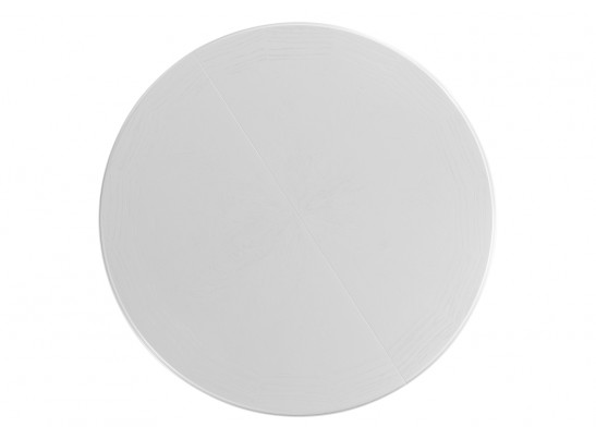 Деревянный стол Нозеан 120(160)х120х76 серебро / белый в Ростове-на-Дону