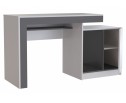 Компьютерный стол Модена белый / графит в Ростове-на-Дону