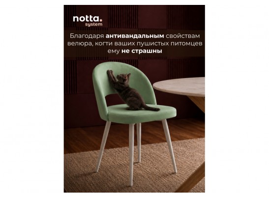 Стул на металлокаркасе Курбис фисташковый (zd 651) / белый в Ростове-на-Дону