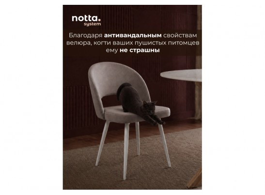 Стул на металлокаркасе Курбис 360 латте (zd 290) / белый в Ростове-на-Дону