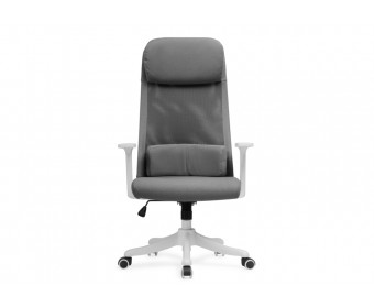 Компьютерное кресло Salta gray / white