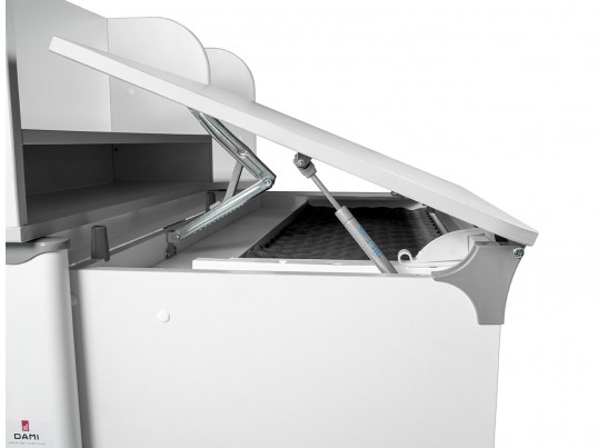 Растущая парта Lp/70-45 с лотком СУТ.63 в Ростове-на-Дону