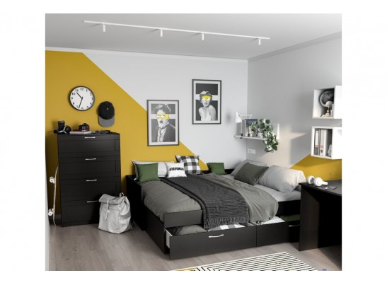 Кровать двуспальная раздвижная с ящиками СИРИУС в Ростове-на-Дону