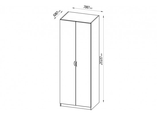 Шкаф ПЕГАС 2 двери 2.04.01.020.1 в Ростове-на-Дону