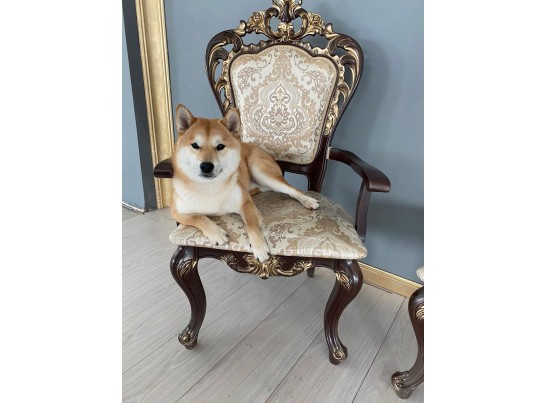 Стул Роза с подлокотниками (темный орех, патина золото)