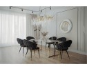 Стул на металлокаркасе Rakel black / gold