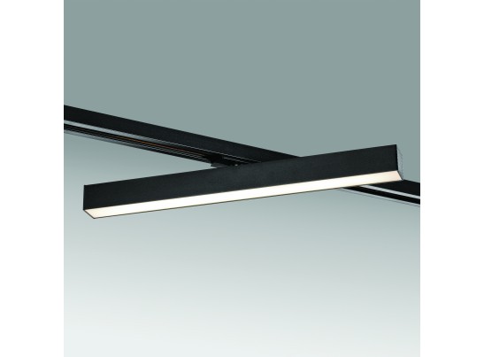 в Ростове-на-Дону