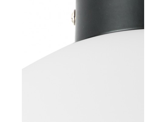 Плафон потолочный Globo Lightstar 812037 в Ростове-на-Дону