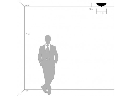 Плафон потолочный Zucche Lightstar 820234 в Ростове-на-Дону