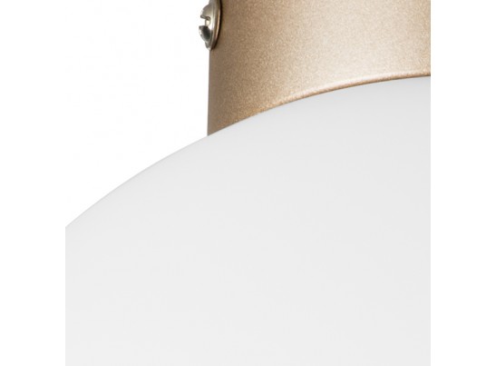 Плафон потолочный Globo Lightstar 812023 в Ростове-на-Дону