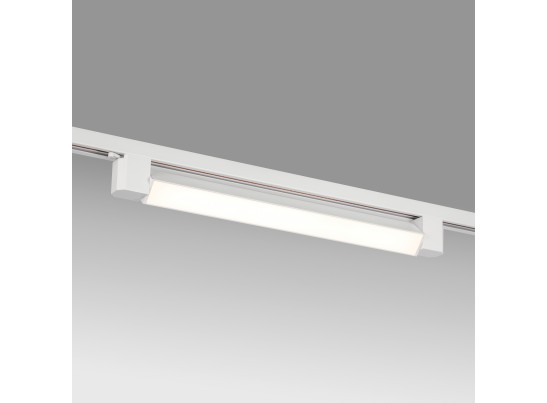 в Ростове-на-Дону