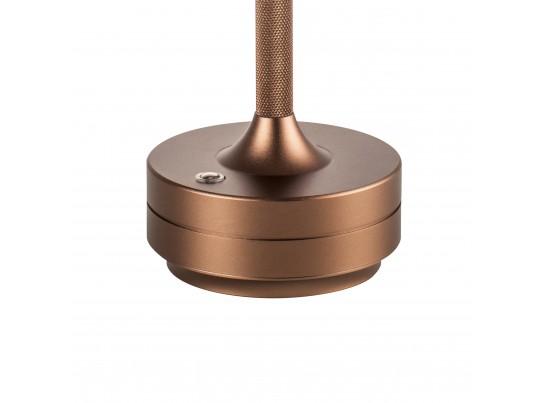 Настольная лампа Alfa Lightstar 745901 в Ростове-на-Дону