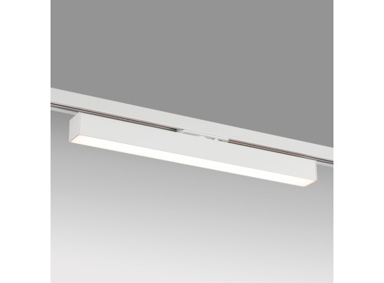 в Ростове-на-Дону