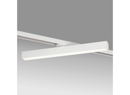 в Ростове-на-Дону