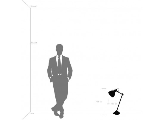 Настольная лампа Loft Lightstar 865917 в Ростове-на-Дону