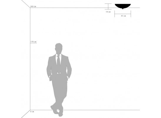 Плафон потолочный Zucche Lightstar 820244 в Ростове-на-Дону