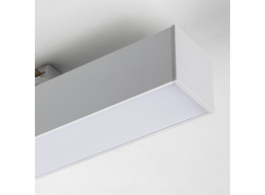 в Ростове-на-Дону