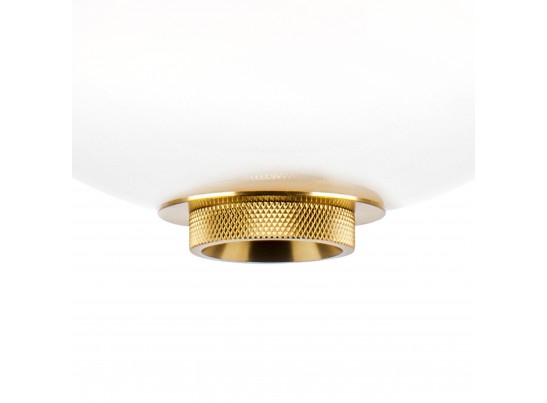 Подвес Colore Lightstar 805403 в Ростове-на-Дону