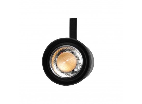 Светильник профессиональный д/треков BARRA/QUATTRO высокого качества света с низким уровнем дискомфорта Canno Pro Lightstar 304207 в Ростове-на-Дону