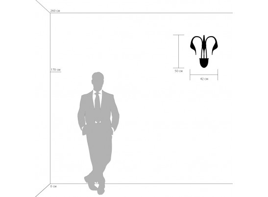 Бра Cigno Collo Lightstar 751637 в Ростове-на-Дону