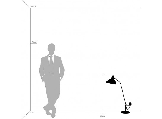 Настольная лампа Manti Lightstar 764906 в Ростове-на-Дону