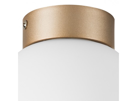 Плафон потолочный Globo Lightstar 812013 в Ростове-на-Дону