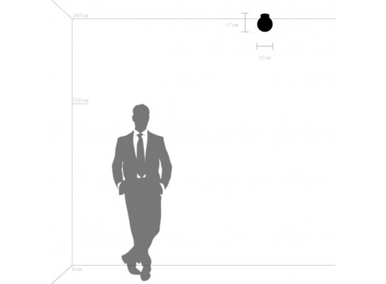 Плафон потолочный Globo Lightstar 812013 в Ростове-на-Дону