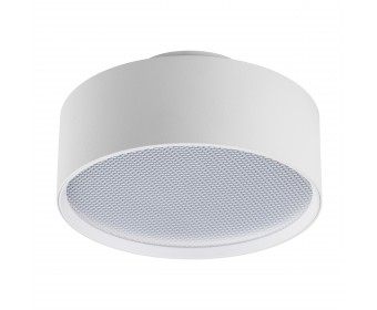 Светильник накладной Acuto Lightstar 215936