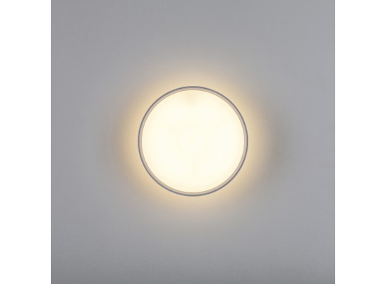 Светильник накладной Acuto Lightstar 215936 в Ростове-на-Дону