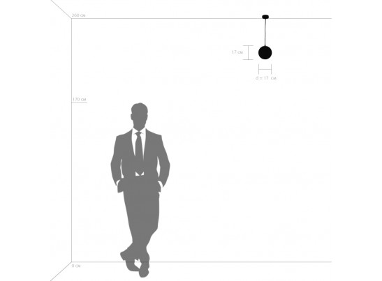 Подвес Dissimo Lightstar 803113 в Ростове-на-Дону