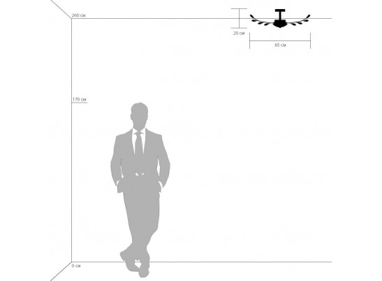 Люстра потолочная Isabelle Lightstar 791184 в Ростове-на-Дону