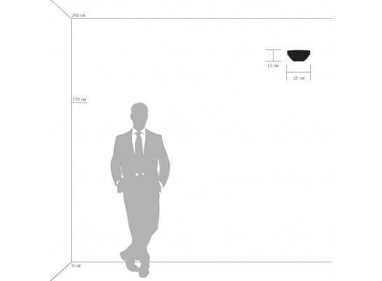 Бра Agola Lightstar 810823 в Ростове-на-Дону