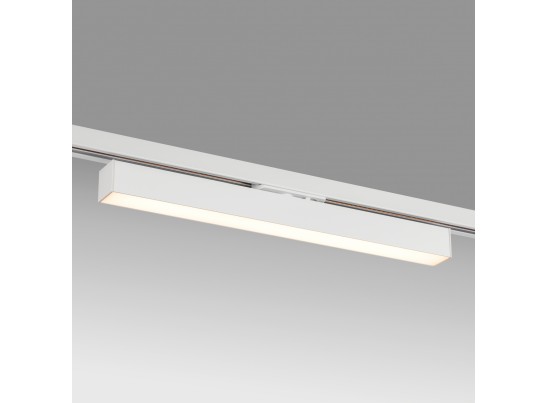 в Ростове-на-Дону