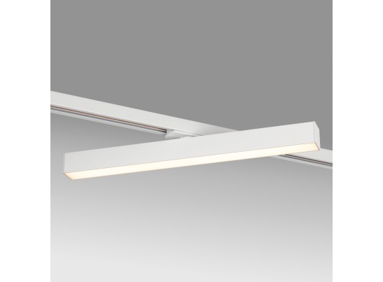 в Ростове-на-Дону