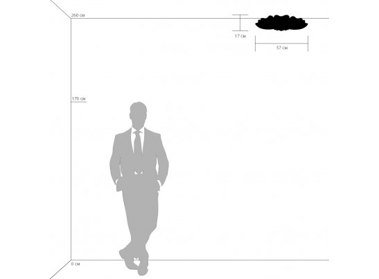 Плафон потолочный Lobo Lightstar 804020 в Ростове-на-Дону