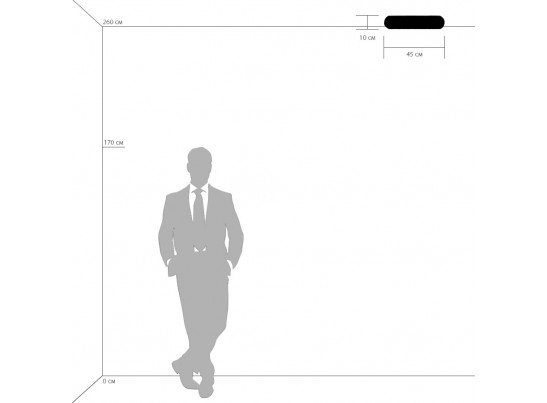 Плафон потолочный Zucche Lightstar 820360 в Ростове-на-Дону