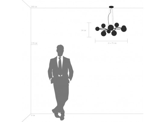 Люстра подвесная Globo Lightstar 815097 в Ростове-на-Дону