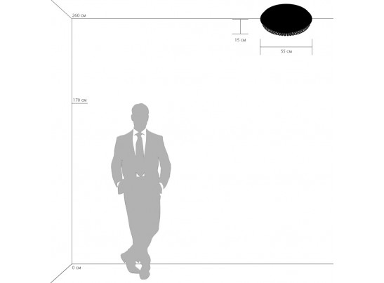 Плафон потолочный Onda Lightstar 741072 в Ростове-на-Дону