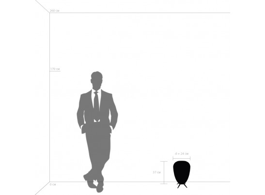 Настольная лампа Arnia Lightstar 805912 в Ростове-на-Дону