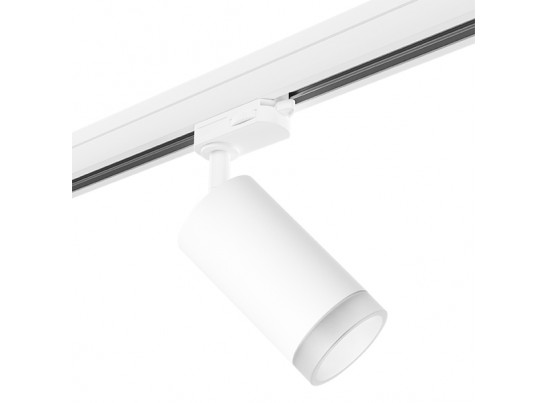 Комплект со светильником Rullo Rullo Lightstar R3T43630 в Ростове-на-Дону