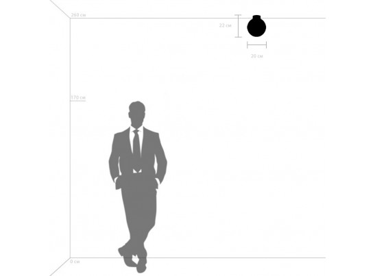 Плафон потолочный Globo Lightstar 812111 в Ростове-на-Дону