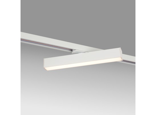 в Ростове-на-Дону