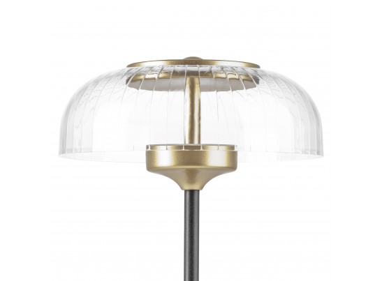 Настольная лампа Acrile Lightstar 738973 в Ростове-на-Дону